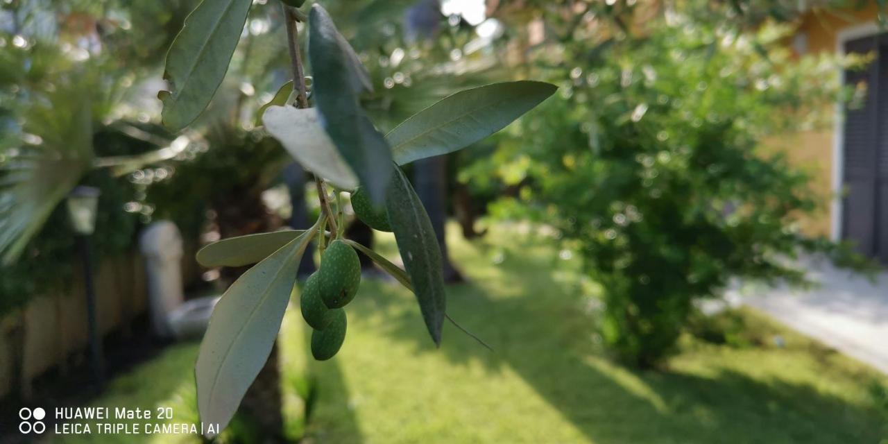 Maresole Tra L'Etna E Taormina Appartement Mascali Buitenkant foto