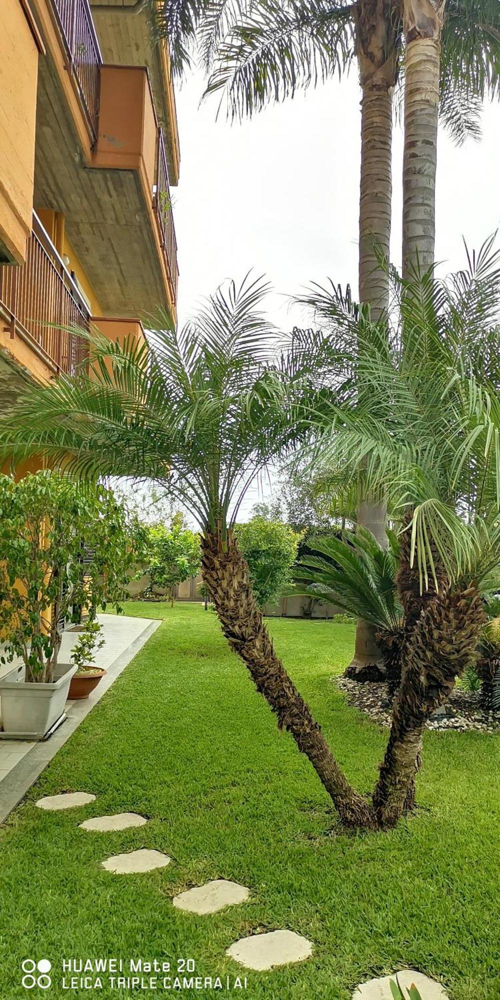 Maresole Tra L'Etna E Taormina Appartement Mascali Buitenkant foto